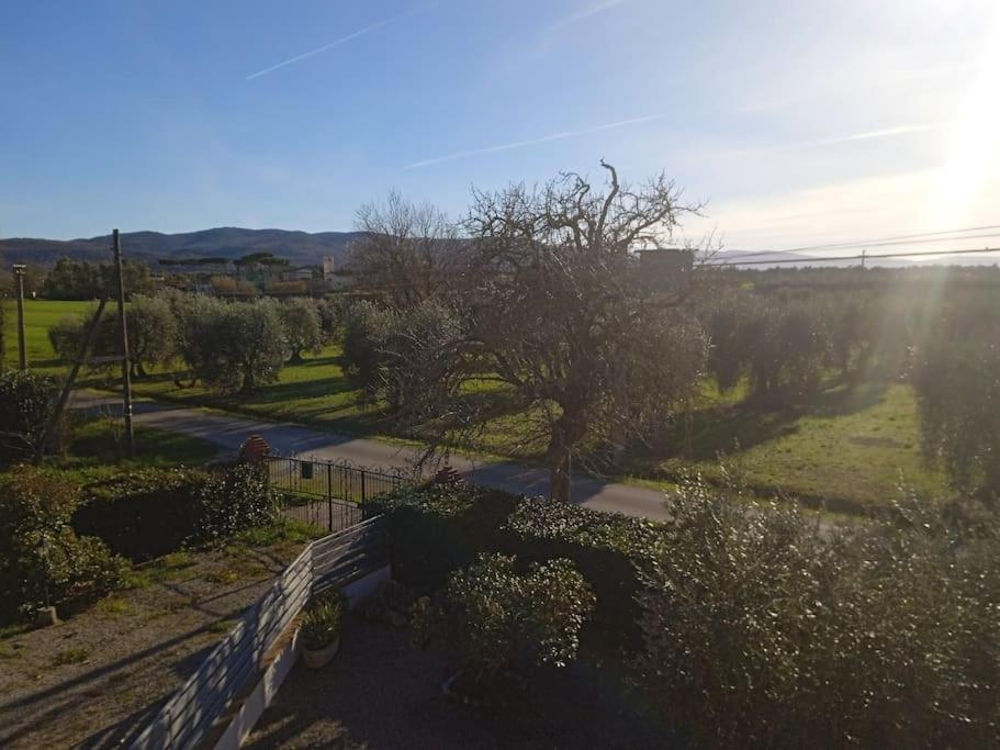 Casa Vacanze Il Pero Marsiliana Esterno foto