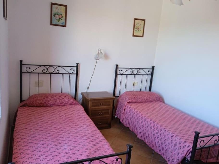 Casa Vacanze Il Pero Marsiliana Esterno foto
