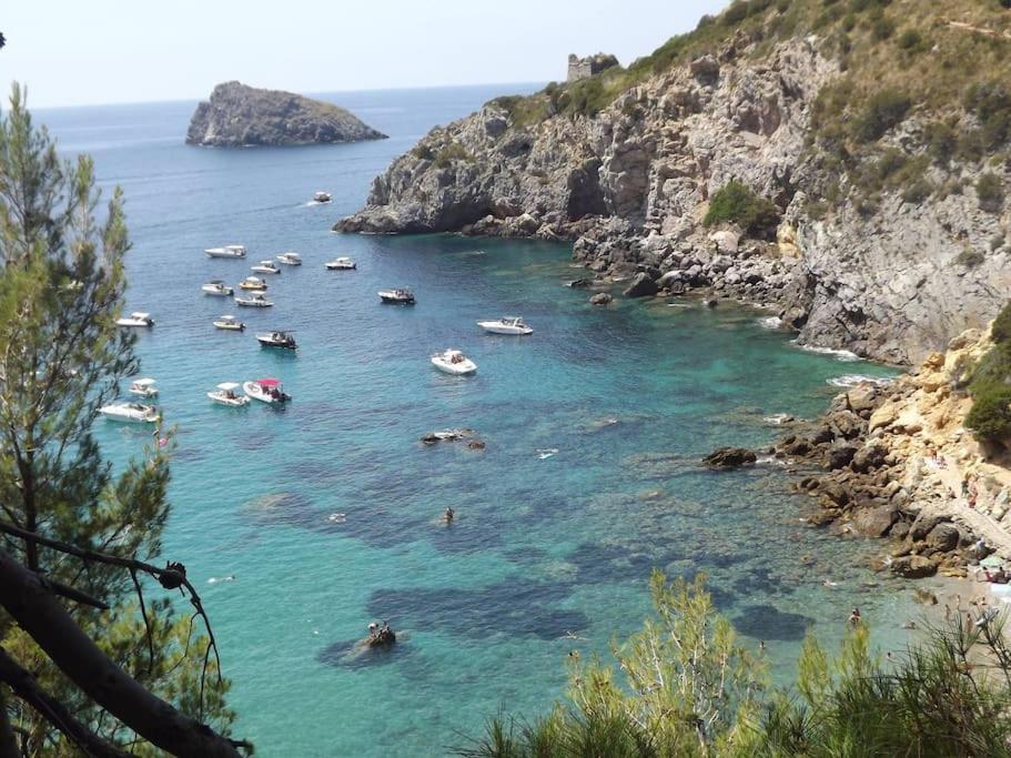 Casa Vacanze Il Pero Marsiliana Esterno foto