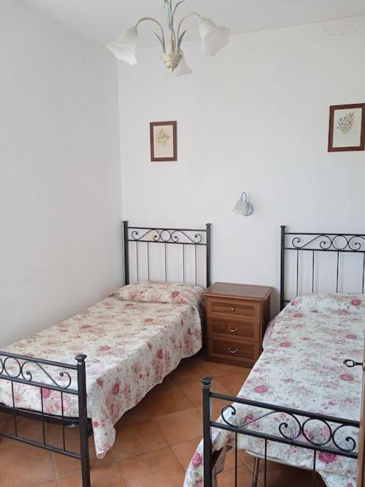 Casa Vacanze Il Pero Marsiliana Esterno foto